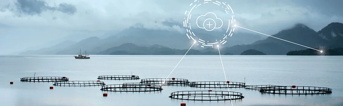 fish farms with data grids