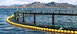 Product Certification for the Aquaculture industry