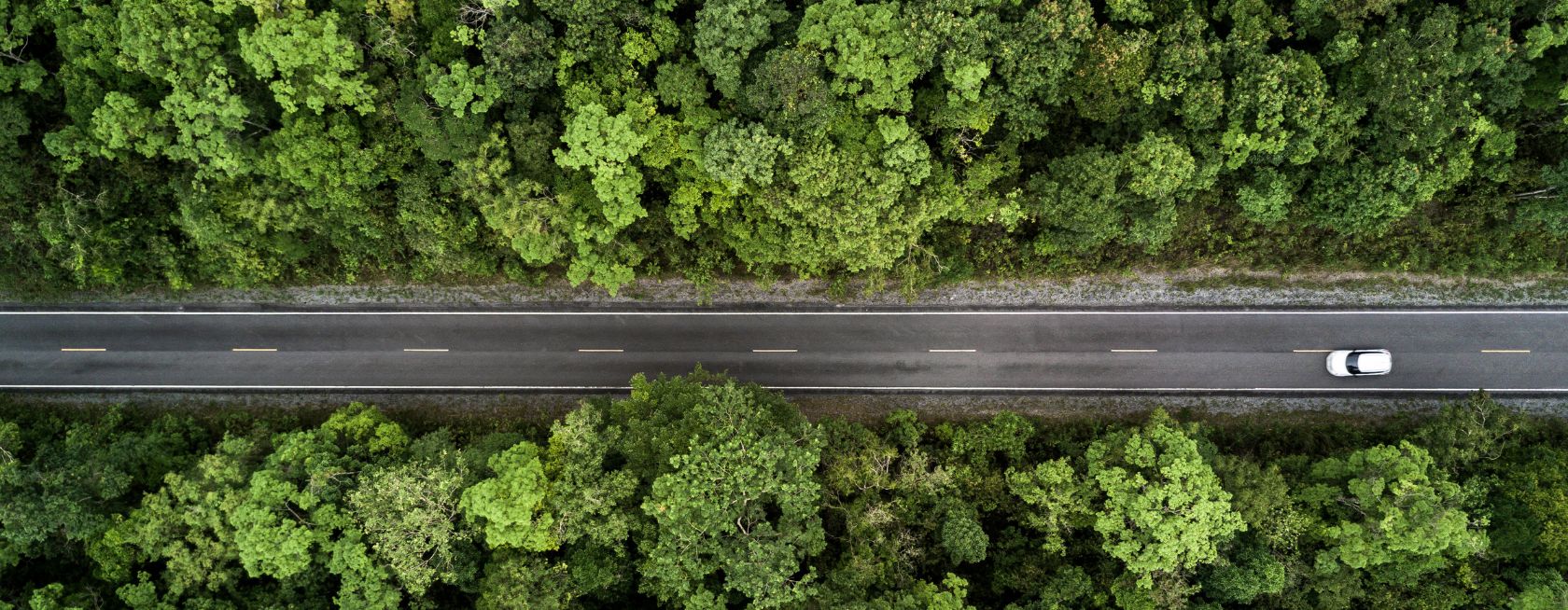ISO 14001:2026 Transition Essentials