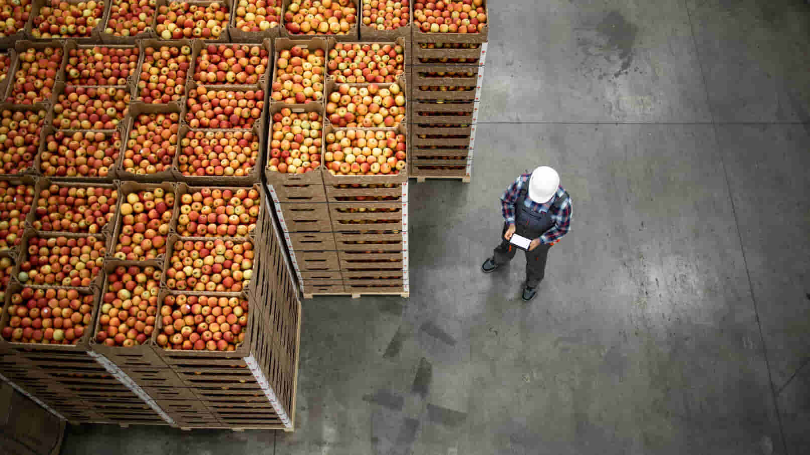 Top view of worker standing by apple fruit crates