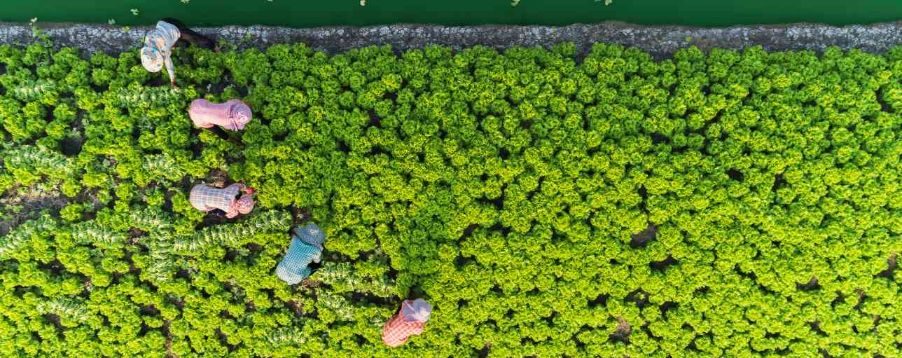 Can investing in climate resilience mitigate a humanitarian crisis?_1288x511