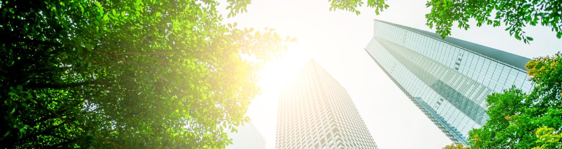 Corporate Sustainability Reporting Directive_1134x300