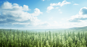 Espresso survey - Environmental audit findings snapshot