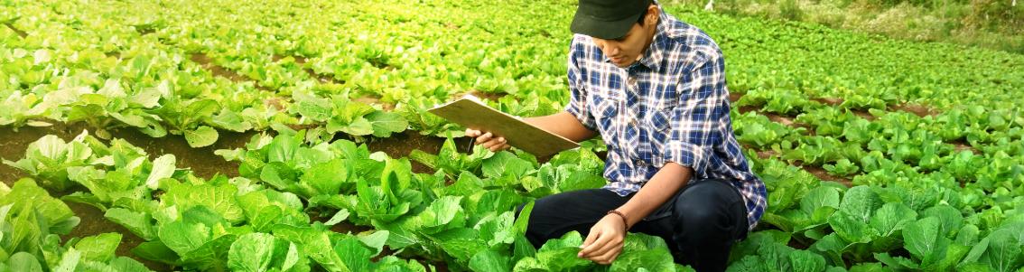 Farm to Fork Strategy_1134x300