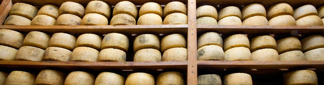 Food and beverage certification services by DNV GL 