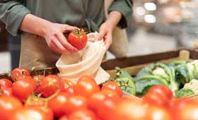 FSMS Internal Auditor Training Course based on the FSSC 22000 version 6