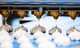 FSSC 22000  – Food safety system certification scheme