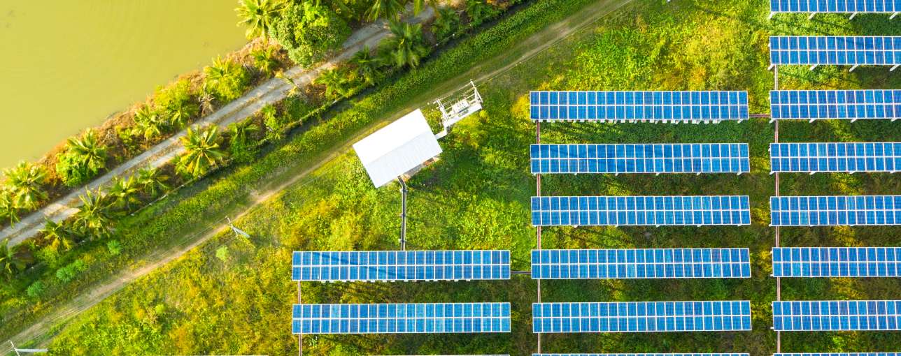 How to navigate the carbon neutrality and net zero minefield_1288x511