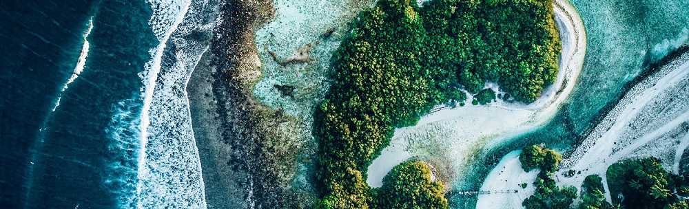 Biodiversity and Coexistence