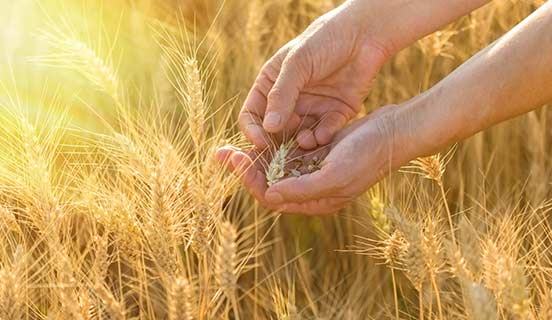 Life sciences in DNV GL