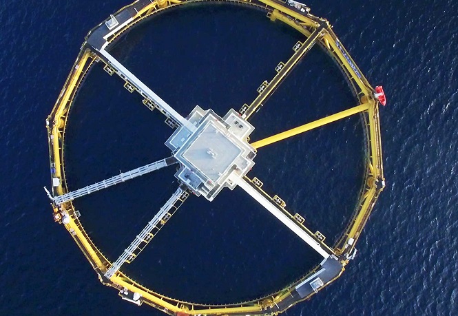 Surveyor on cruise ship