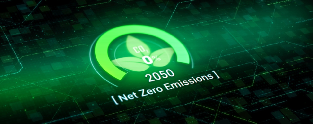 Net Zero Targets and Decarbonization Stress Testing 