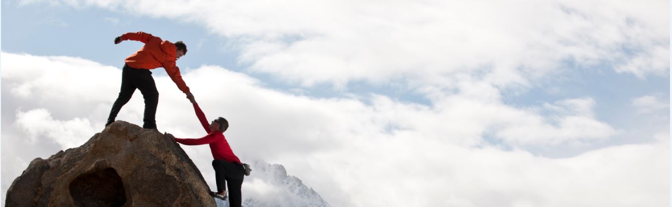 new training courses