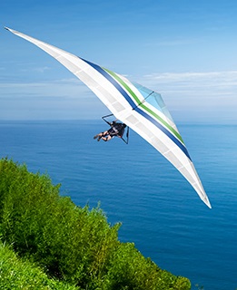 Online self-assessment suite