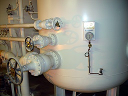 Regulatory Inspection Services PESO & IBR offered by DNV