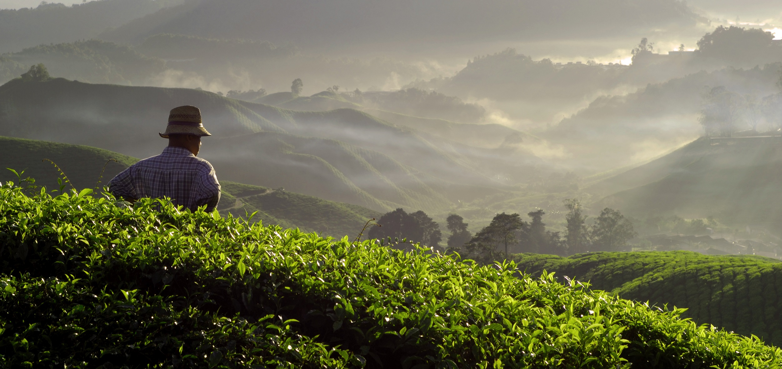 Research Review 2021