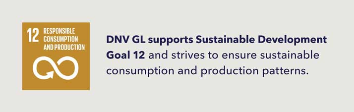 SDG 12