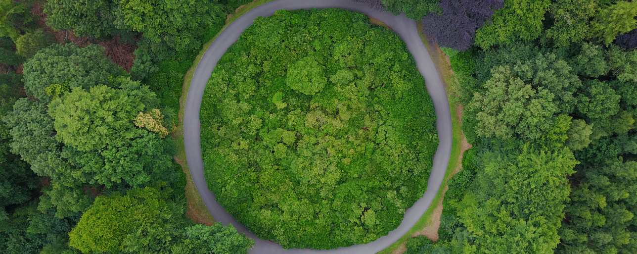 Supply chain traceability: why is it important to have objectives?_1288x511