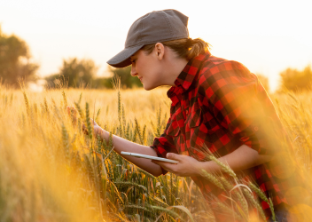 Transition to GLOBALG.A.P. IFA Version 6