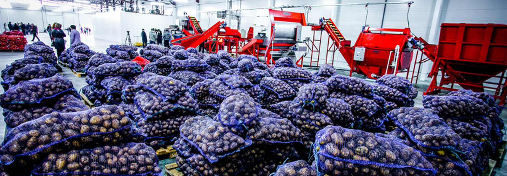 vegetables and groceries in big warehouse