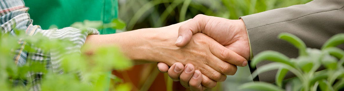 People shaking hands